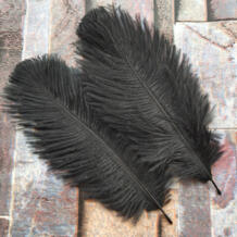 Красивые черные страусиные перья 10 шт. высокого качества 6-8 дюймов/15-20 см для вечерние/Свадебные украшения wtluckystar 32781186310