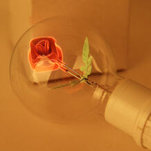 E27 3 Вт лампы накаливания Роза в форме декоративные Эдисон лампа 220 В gooit 32716690474