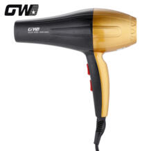 GW-690 Professional Фены для волос салон 3000 Вт сухой и влажный электрический фен с концентратором сопла GUOWEI 32866224124