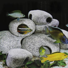 Новое поступление Декоративные украшения для аквариума орнамент украшения аквариум цихлид камень для разведения креветок украшения DA No name 32818539670
