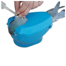 Пластиковый гоночный держатель голубя легкая птица Фиксированная Рама стойка лекарственный Фидер светло-синий PQZATX 32832622100