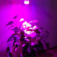 Полный спектр 10 Вт светодиодный свет для выращивания-E27; GU10; E14 расти галогенная лампа для рассады роста растений цветущих в плантационных палаток GEW 32638157010